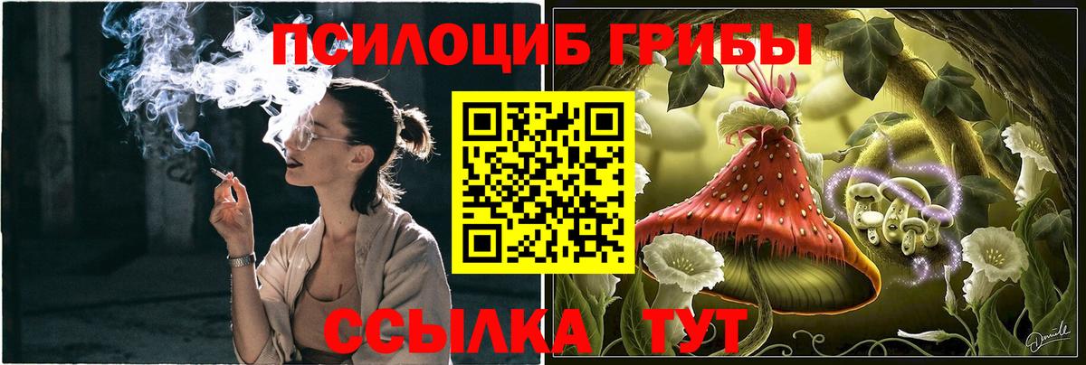 Псилоцибиновые грибы Magic Shrooms  Псилоцибиновые грибы Psilocybe  Вход с VPN  Сердобск 